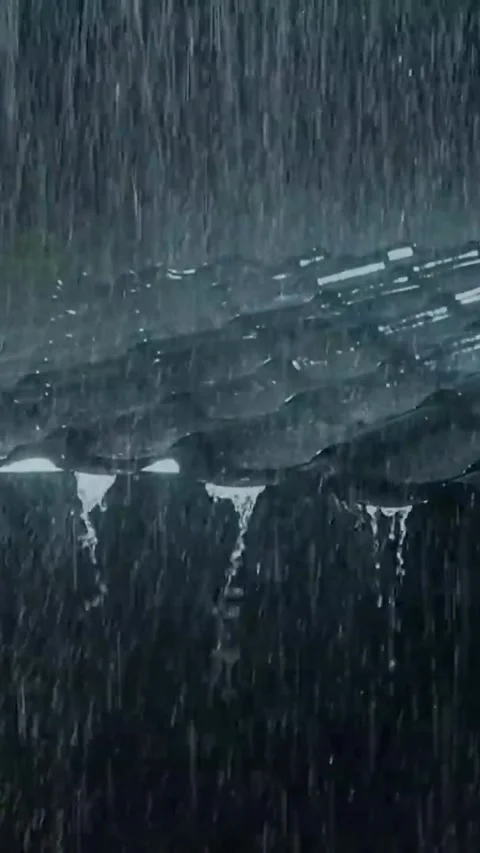 Heavy Rain Falling Stock Footage 326387029