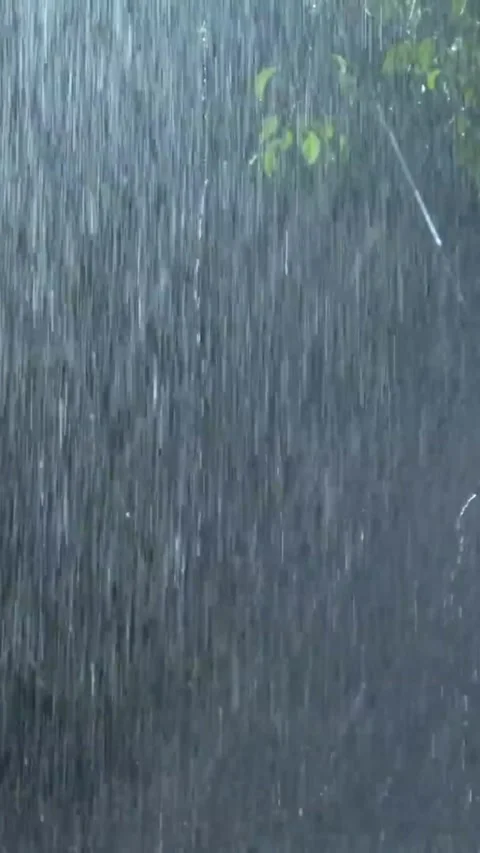 Heavy Rain Falling Stock Footage 326388152