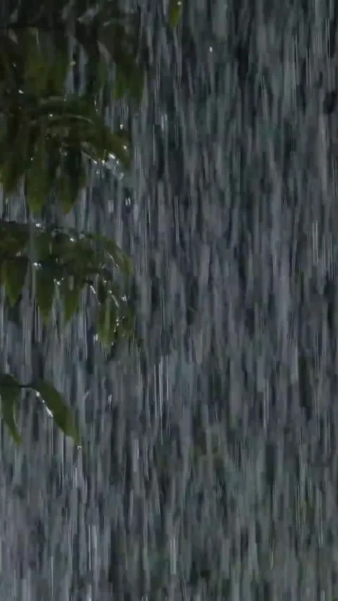 Heavy Rain Falling Video stock 326390964