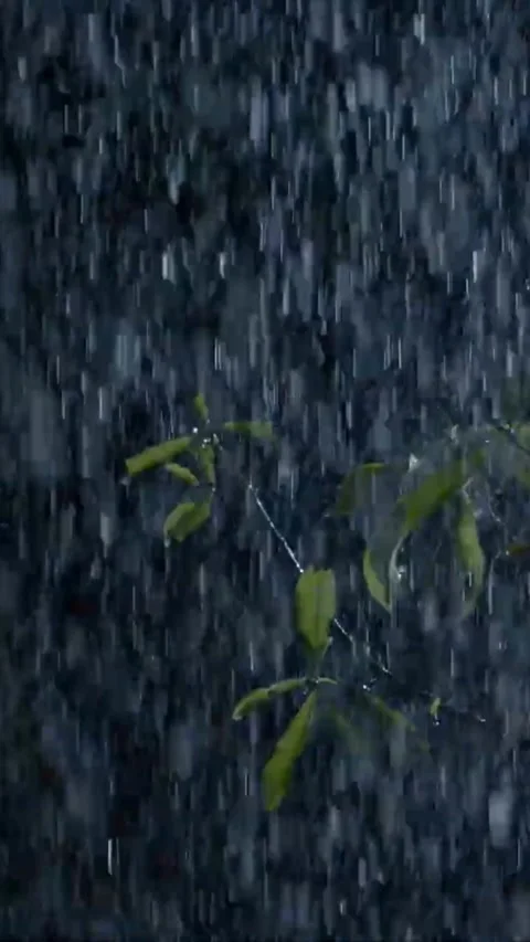 Heavy Rain Falling Stock Footage 326392152