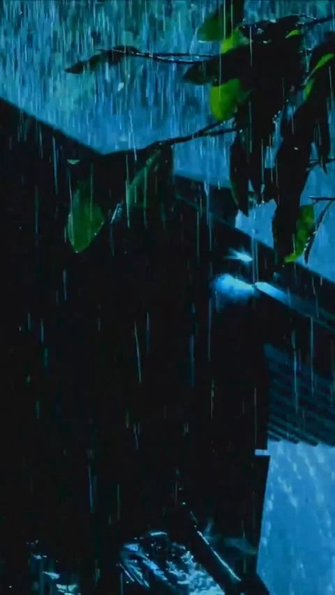 Heavy Rain Falling Stock Footage 326394091