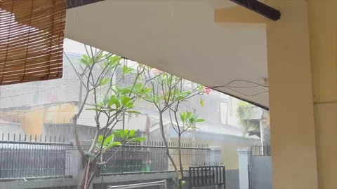 Heavy rain falling in the front yard of a house with plumeria trees Video stock 332367219