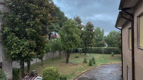 Heavy rain falling in a garden during a thunderstorm Stock Footage 345827971