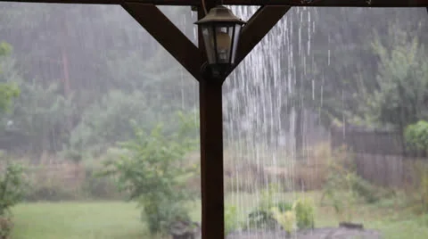 Heavy rain falling in garden Stock Footage 26699908