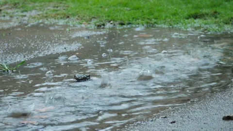 Heavy rain falling into a large puddle on asphalt ground Видео 339994130