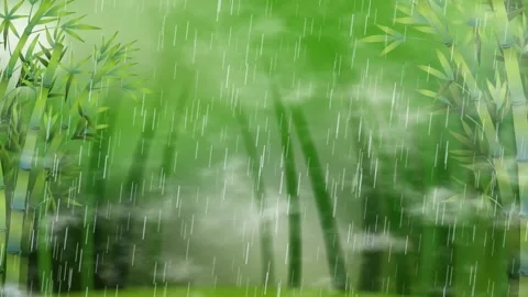 Heavy Rain Falling in a Lush Green Bamboo Forest Animation Stock Footage 340195545