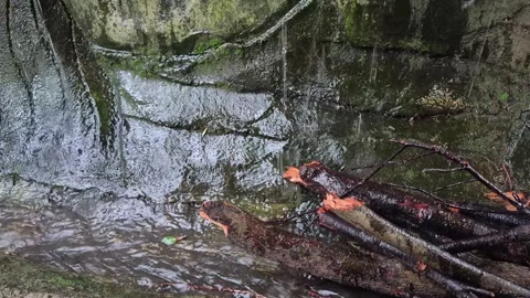 Heavy rain falling on outdoor Vidéo 340475372