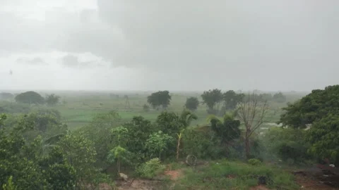 Heavy Rain Falling Over Green Tropical Countryside Landscape In Rural Stock Footage 341148691