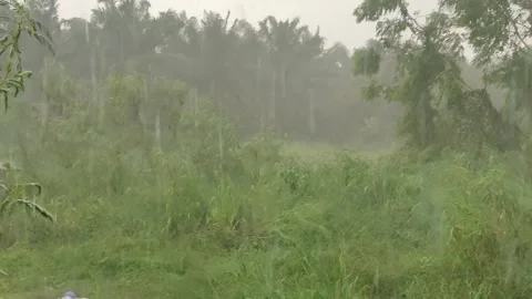 Heavy rain falling over green field in storm weather Stock Footage 348257878