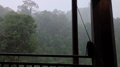 Heavy Rain Falling Over Tropical Rainforest Vídeos de archivo 345090110