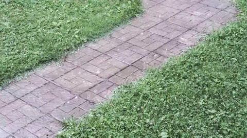 Heavy rain falling on a path grass lawn summer shower Stock Footage 159375402