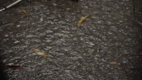 Heavy rain falling on pavement during a stormy day Stock Footage 320964828