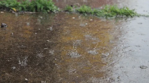 Heavy rain falling on pavement - slow motion Stock Footage 119706529