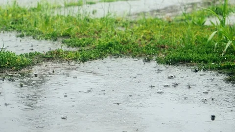 Heavy rain falling on pavement - slow motion Stock Footage 119976854