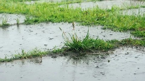 Heavy rain falling on pavement - slow motion Stock Footage 119983845