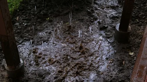 Heavy rain falling in a puddle on the soil Stock Footage 246465896