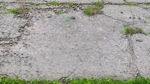 Heavy Rain Falling on Puddle With Splashing Water Ripples. Stock Footage 334809489