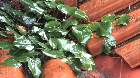 Heavy rain falling on the red rooftop during storm Stock Footage 100198395