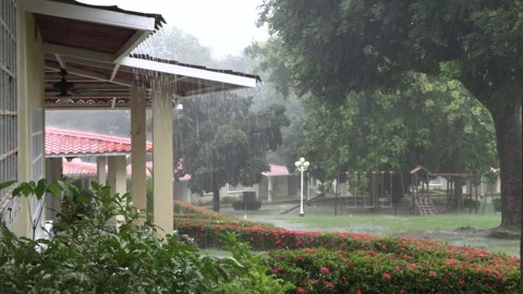 Heavy rain falling in a residence during the rainy season Stock Footage 159084771