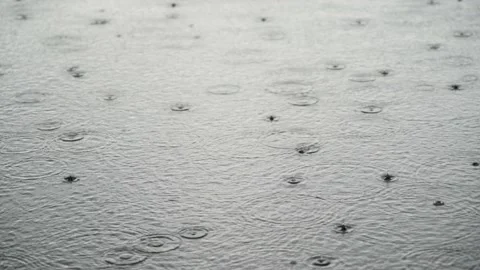 Heavy rain falling on a road Stock Footage 237440222