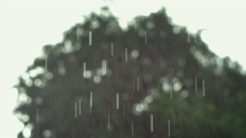 Heavy rain falling on roof strong wind blow tree to swaying Stock Footage 196336943