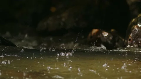 Heavy Rain Falling on a Shallow Stream. Stock Footage 205248043