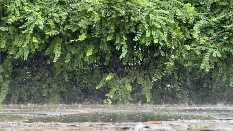 Heavy rain falling on sidewalk with feet of pedestrian walking through Stock Footage 278092260