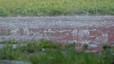 Heavy Rain Falling. Slow Motion. Stock-Footage 37735689