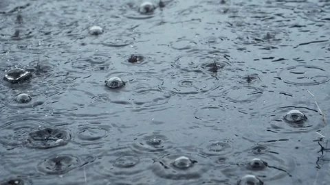 Heavy rain falling - slow motion Stock Footage 119970361