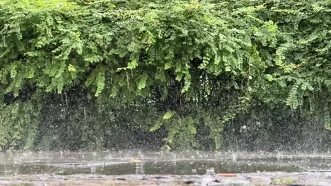 Heavy rain falling in slow motion into puddles on sidewalk Stock Footage 279566324