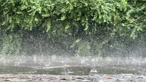 Heavy rain falling in slow motion on pavement on a summer day Stock Footage 279566377