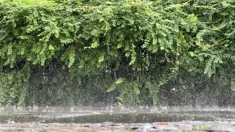 Heavy rain falling in slow motion into puddles on sidewalk Stock Footage 279566402