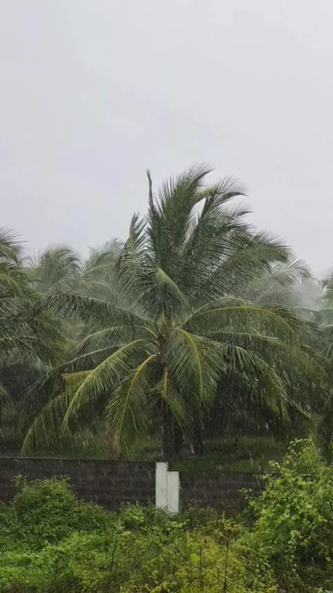 Heavy Rain Falling in Slow Motion – Monsoon Weather Background Stock Footage 323888753