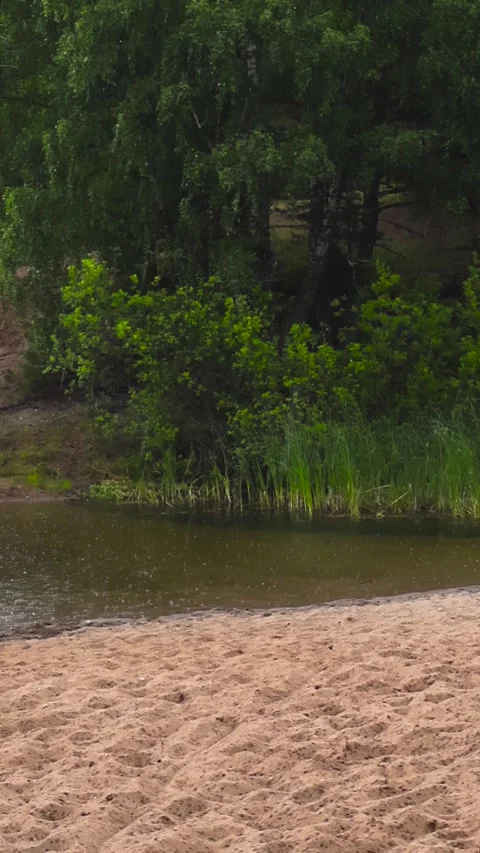 Heavy rain falling on a small lake with a sandy shore 스톡 동영상 347773995