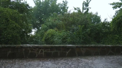 Heavy rain falling on terrace, raining. Trees on the background Stock Footage 78421931