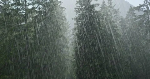 Heavy rain falling through conifer forest in the Dolomites Stock Footage 340791499