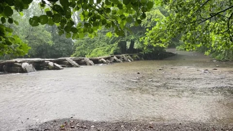 Heavy rain falling through trees to a river in Devon, UK Stock Footage 262661852