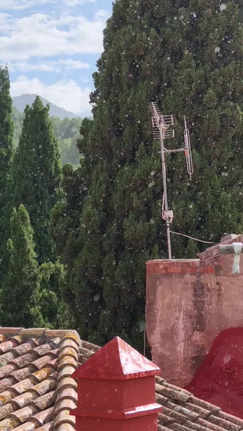 Heavy rain falling on tiled rooftops and trees Stock-Footage 335214672