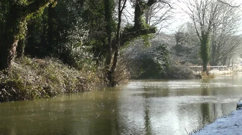 Heavy rain falling from trees onto water winter rural scene Stock Footage 46847058