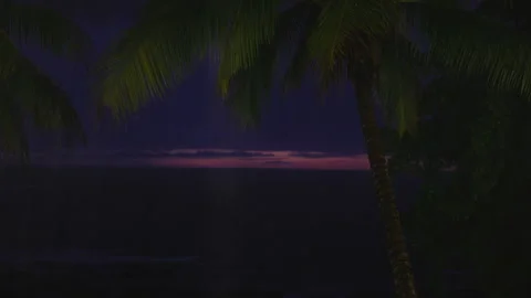 Heavy Rain Falling on Tropical Beach with Palm Trees at Twilight Purple Sky. Stock Footage 342213263