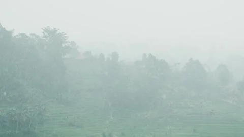 Heavy rain falling on tropical forest and rice paddies Stock Footage 306462152