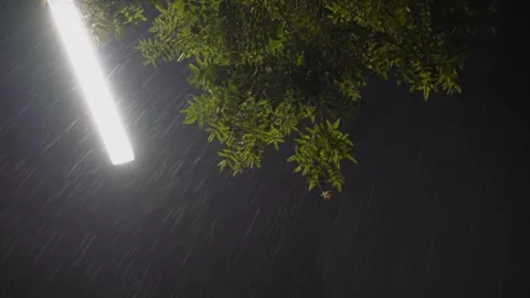 Heavy Rain Falling Under Bright Street Lamp At Night In A Quiet Park Stock Footage 342212820