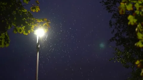 Heavy rain falling under a street lamp light at night Video stock 318281000