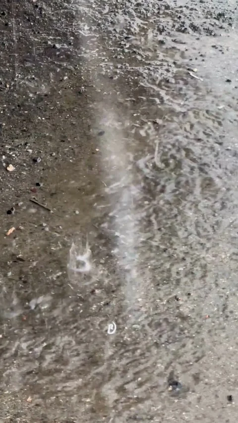 Heavy rain falling on wet asphalt ground with ripples Stock-Footage 331983222