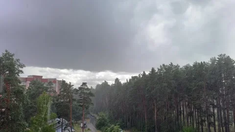 Heavy rain falls from dark storm clouds over a pine forest  Stockbeeldmateriaal 339366522