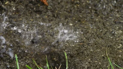 Heavy rain falls on the ground, close-up. Blurred background, out of focus Stock Footage 157868246
