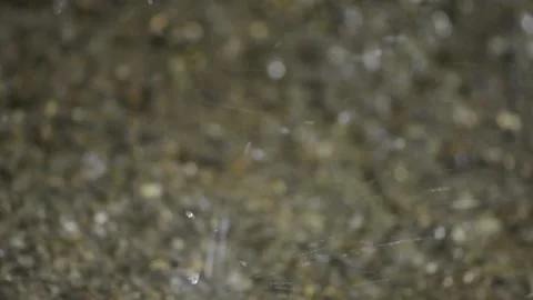 Heavy rain falls on the ground, close-up. Slow motion Stock Footage