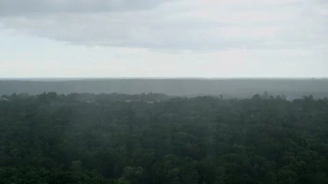 Heavy rain falls over dense green forest in summer, moody weather landscape with Stock-Footage 312343859