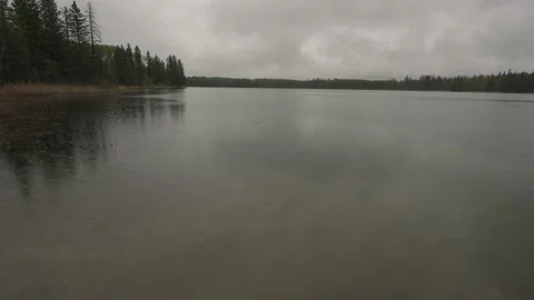 Heavy rain falls into a small lake in this grey scene with dragonflies flying  Stock Footage 156331780