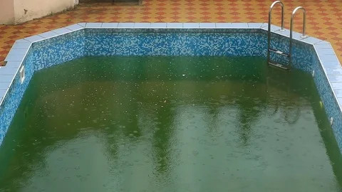 Heavy rain falls into a swimming pool. Not season, dirty abandoned pool Stock Footage 74757052